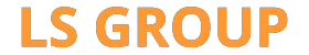 LS Group: Your Strategic Financial Solutions Partner